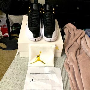 Jordan 12 wings
